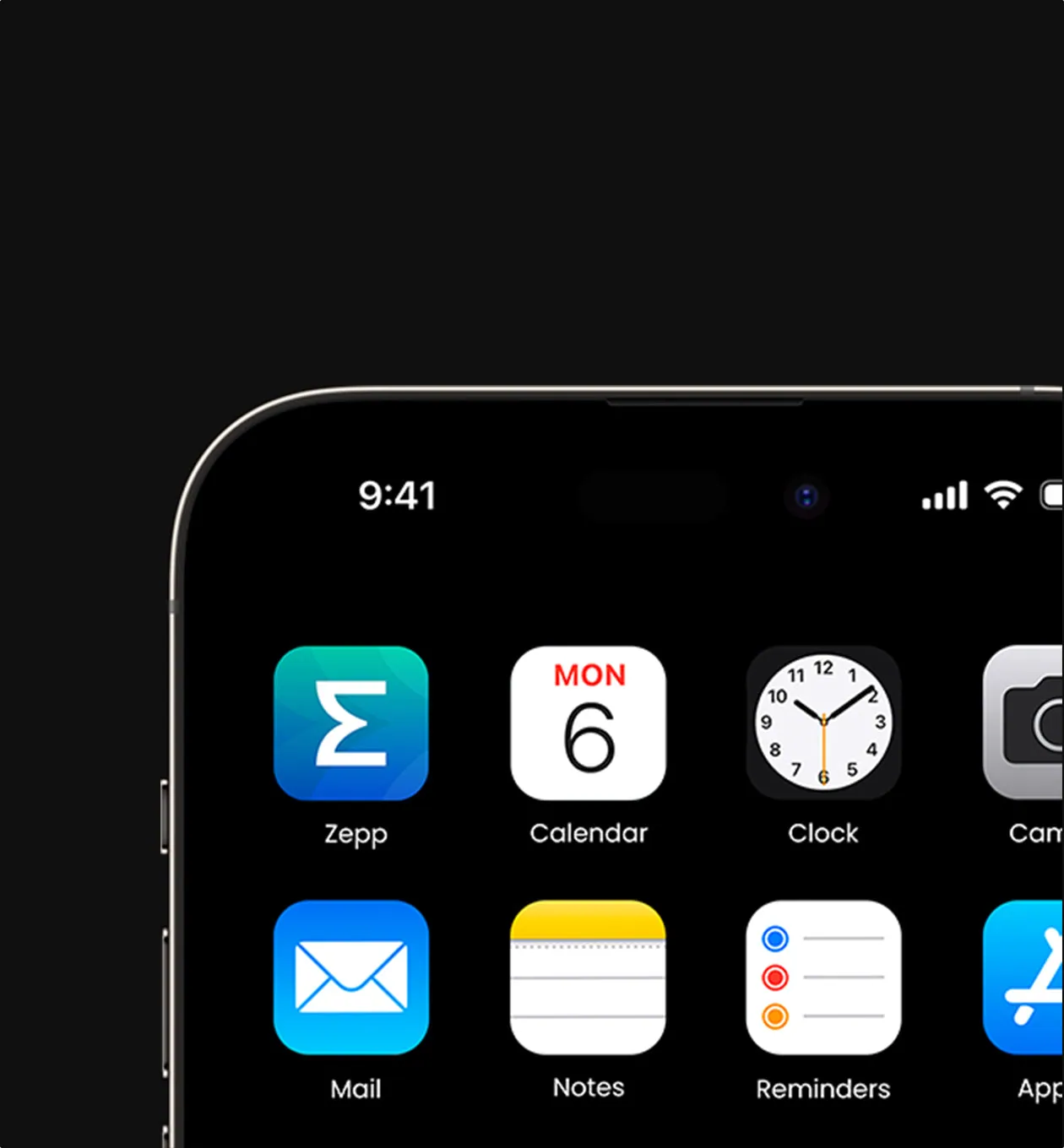 Connect to the Zepp App