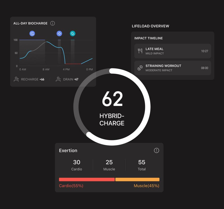 HybridCharge Energy Intelligence